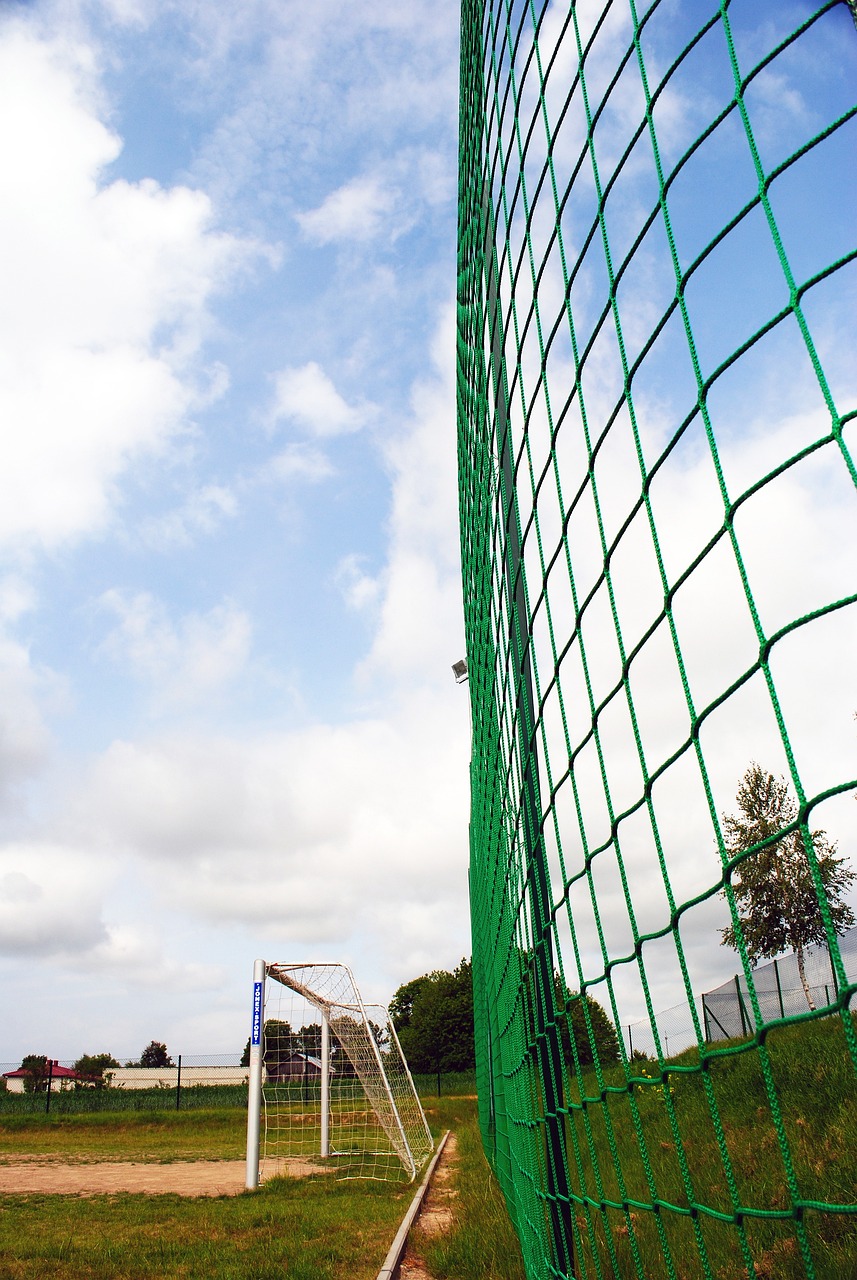 而山东男篮 而山东男篮