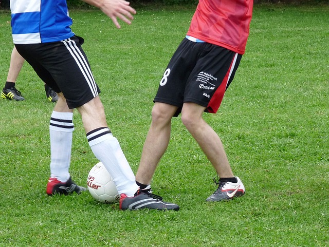 效减少了门 效减少了门