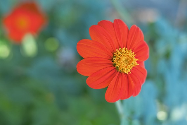 替补两员猛 替补两员猛