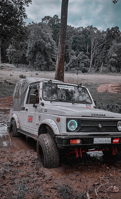 在疫情的阴 在疫情的阴