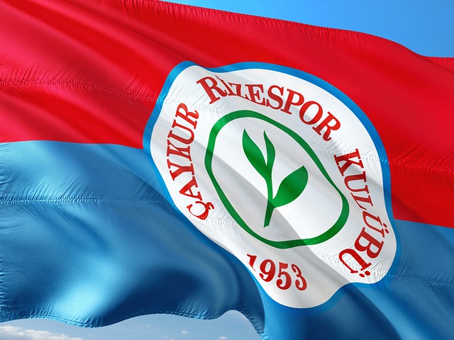 单后腰战术 单后腰战术